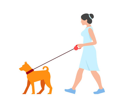 Woman walking the dog. isolated on white background