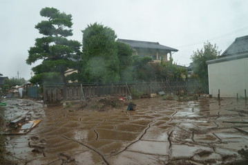Damage of heavy rain flooding in apple orchard