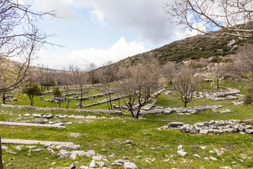 Bassae, Greece. Large ruined columns of the Temple of Apollo Epicurius inside a tent