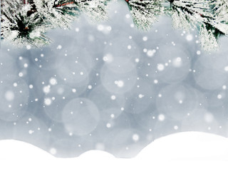 winter christmas background with snow and fir branches frame