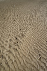 Mud overflowing from typhoon damage