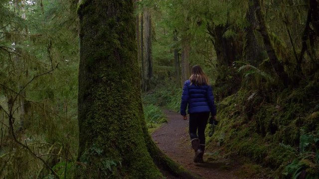 CLOSE UP: Unrecognizable female photographer treks through the scenic Hoh Rainforest. Young woman strolls along the scenic path leading through the lush Olympic National Forest in rainy Washington.