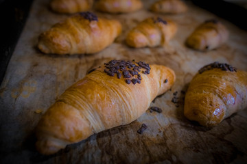Chocolate croissants just baked in a bakery