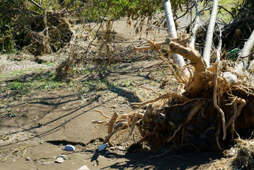 Flood damage caused by Typhoon No.19 