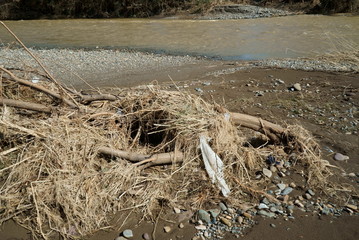 Flood damage caused by Typhoon No.19 