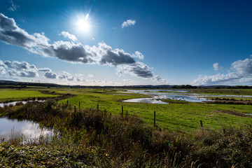 Fototapeta premium Wetlands nature reserve in countryside under strong sunlight