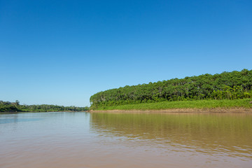 Beautiful view of Purus River in Amazon rainforest on sunny summer day. Trees on the river bank and...