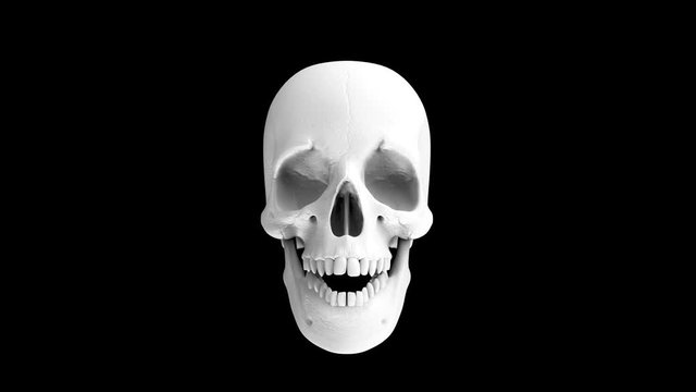 Loopable Halloween speaking ghost skull bone with white alpha channel footage background.