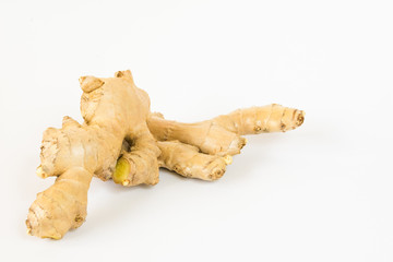 One root of fresh ginger on a white background. Medicinal plant.