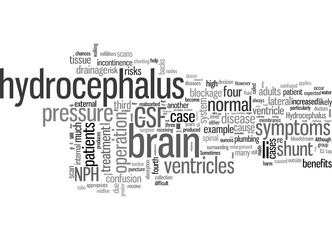 Hydrocephalus Too Much Water on the Brain