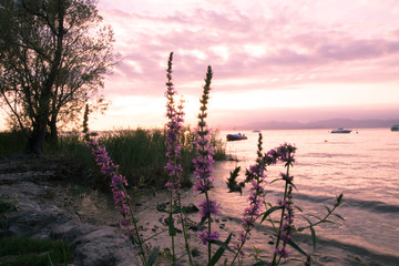 Sonnenuntergang mit Langzeitbelichtung am Gardasee