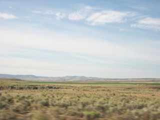 Fototapeta premium field and blue sky