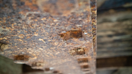 A rusty iron plate due to oxidation from natural changes