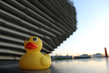rubber duck at the V&A  Dundee, Scotland 