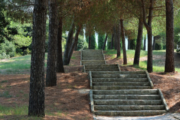 Stone steps in the Park.