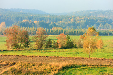 colorful fields and trees in autumn