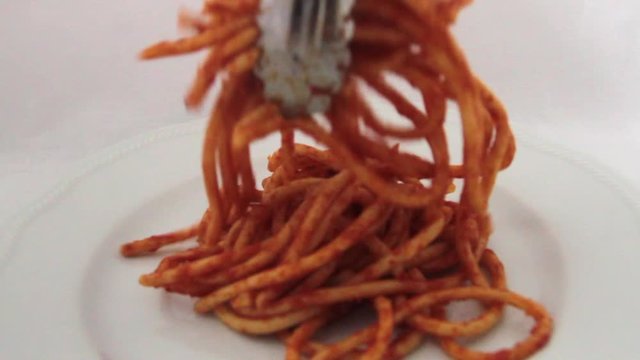 flying over a plate of bucatini amatriciana