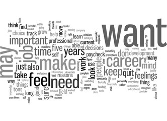 How to make a job market choice