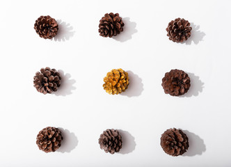 Autumn composition, frame made of pine cones on whitebackground. Flat lay, top view