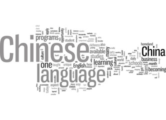 Fototapeta na wymiar how to learn chinese in china