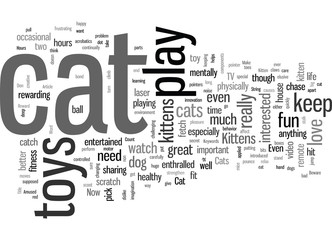 How To Keep Your Cat Or Kitten Amused For Hours