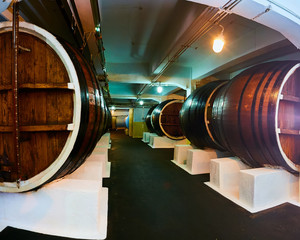 Old private wine cellar with many oak barrels, equipment for wine production. Old oak barrels in cellar