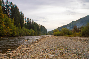 The stone bank of a mountain river in the middle of the forest.