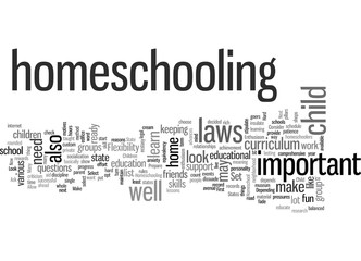 how to homeschool your child dlvy nicheblowercom