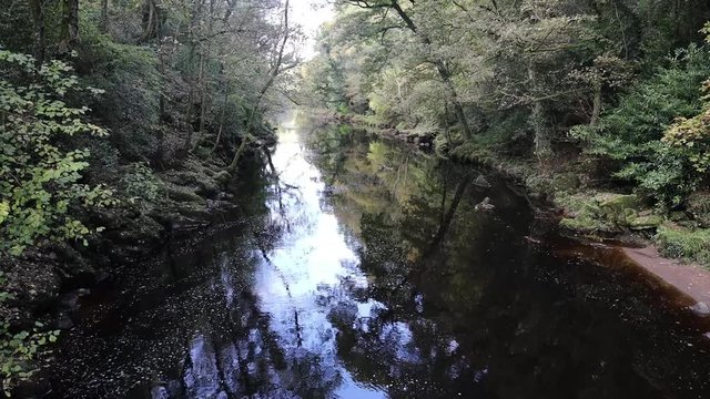 River Roe, spate river, tranquil river scene with early autumn colours and reflections in the water