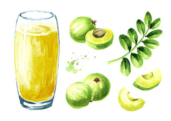 Gooseberry or amla juice with fresh ripe fruits set. Watercolor hand drawn illustration isolated on white background
