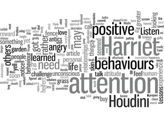 How to Handle Problem People Life Lessons from a Balky Bovine