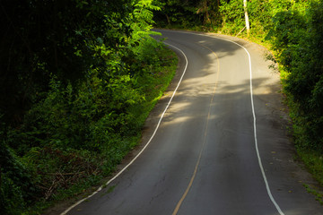 Fototapeta na wymiar Asphalt road leading into the forest In the morning sunlight