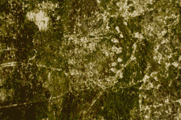 Texture of damaged concrete covered with mold.