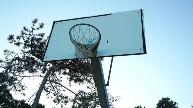 girl with long dark ponytail throws neon ball into basket against tall green pine tree in summer evening close view