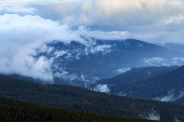 Naklejka premium Foggy mountain forest view in Oregon.