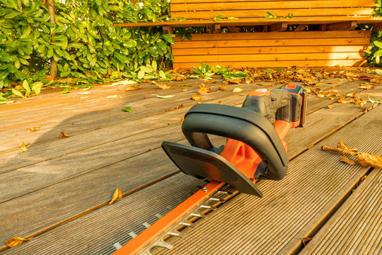 electric hedge trimmer on the wooden terrace with cherry floor berry