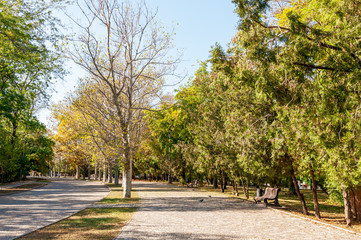 Park alleys in early autumn.