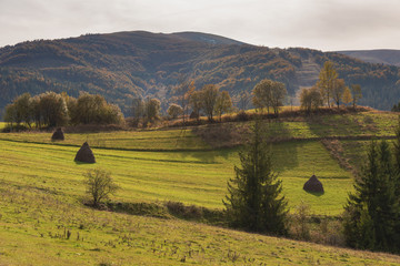 Landscapes on an autumn mountain village, with beautiful houses and golden trees around, located in the Ukrainian Carpathians.