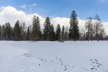 winter landscape