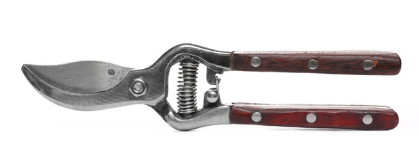 New metal garden scissors with wooden handle, retro style isolated on white background © dule964