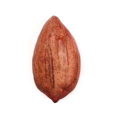 Peanut isolated on white background, top view