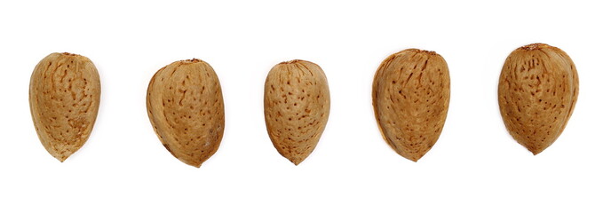 Set almond kernel, nut in shell isolated on white background, top view