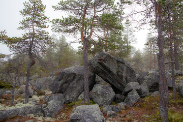 Rocky landscape. Landscape full of large stones. The stones were placed there by glaciers during the last ice age