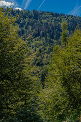 Fototapeta premium Château-Lambert, France - 09 13 2019: Hike in the circuit of school trail