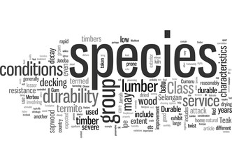 How To Choose The Right Wood For Your Deck Durability Factors