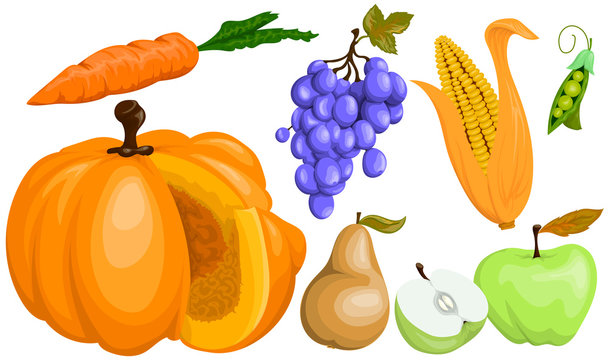 Set of cartoon vector images of autumn fruits and vegetables from 7 pieces.