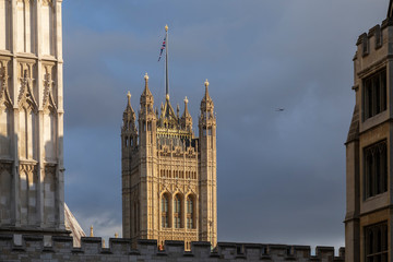 Fototapeta premium sunlit tower at houses of parliament
