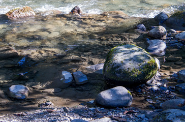 Beautiful mountain river with a fast flow. Large stones with rocks in the middle of a green forest.