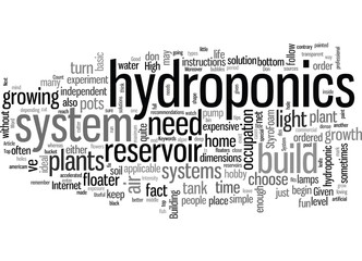 How To Build A Hydroponics System