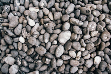 Round gray gravel pattern. Abstract background texture. Top view. Background from sea gray stones